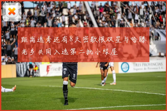 距离选秀还有8天密歇根双星与哈滕老乡共同入选第二批小绿屋