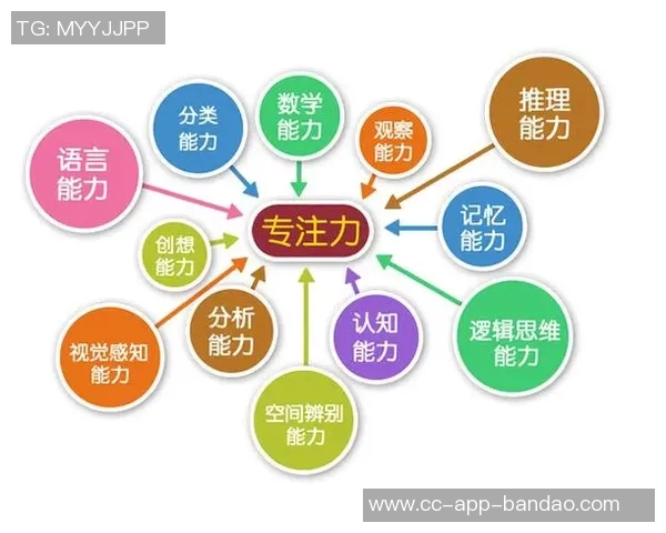 弗拉格:始终保持高能量与专注力的成功秘诀与实践经验分享 弗拉格:始终保持高能量与专注力的成功秘诀与实践经验分享