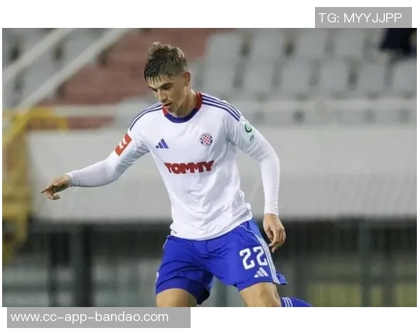 国米计划引进姆拉契奇并租借半年转会费预计在300万至400万之间